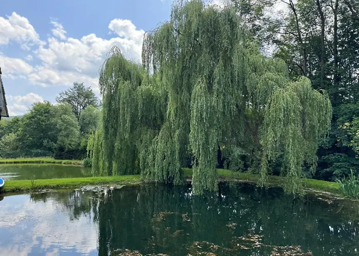 Restauracja I Noclegi Izba Rybacka W Krainie Wygaslych Wulkanow
